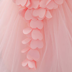 Baby Girl Petal Patched Design Sleeveless Full Moon Christening Mesh Dress